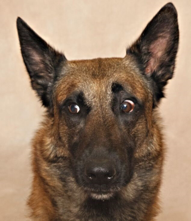 Источник https://www.drive2.com/c/479467884888720133/