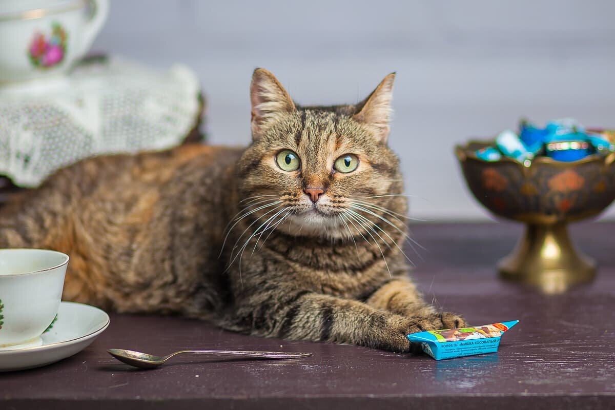 иллюстрация из яндекс картинки.