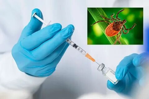 Фото взято с просторов Интернета.