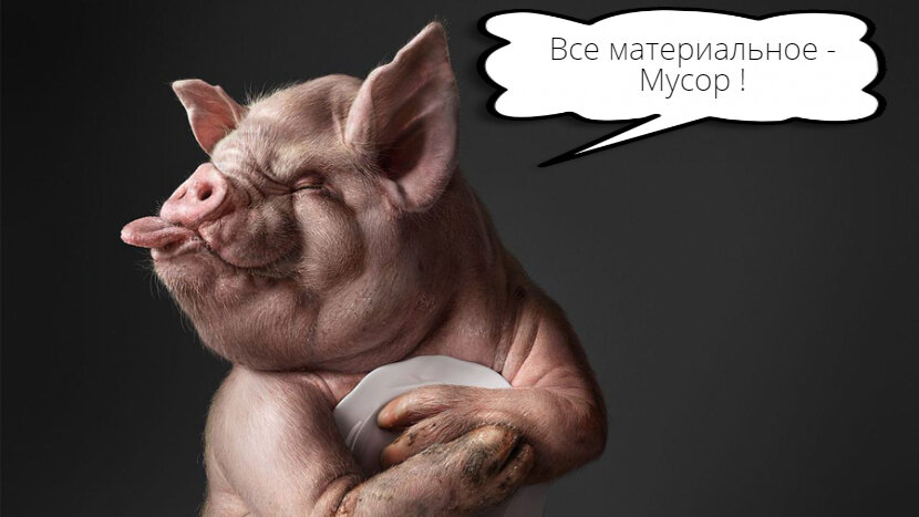 Яндекс фото