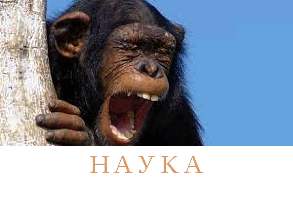 Новости - наука