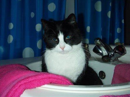 Фото из Интернета.