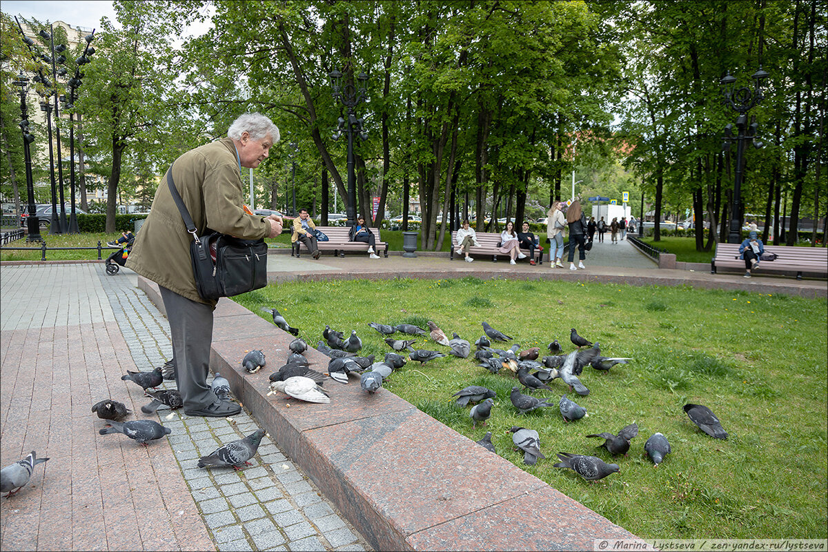 Лета в москве больше не будет. Фото прогулка по Москве лето.