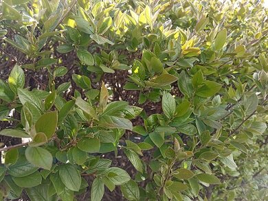 Фотография из личного архива автора