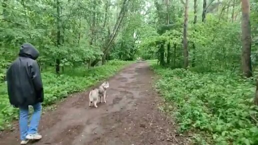 Порно видео Нежный секс с красивой девушкой в зеленом лесу