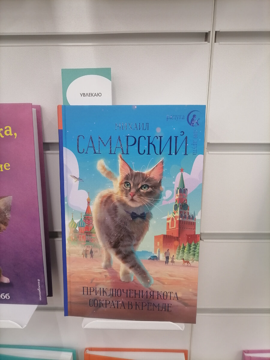 Смотрите какую прелесть нашли! Для любителей кошек самое то! 