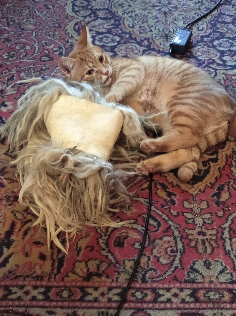 личное фото