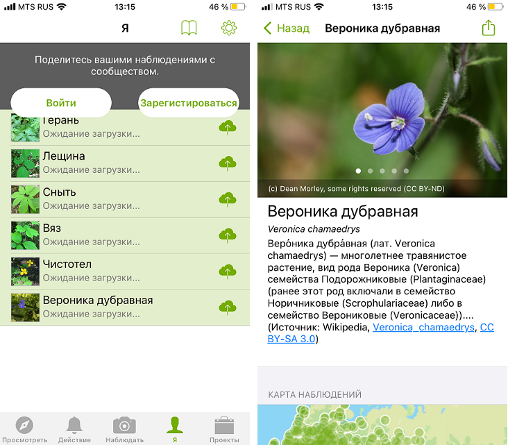 Внутри приложения INaturalist