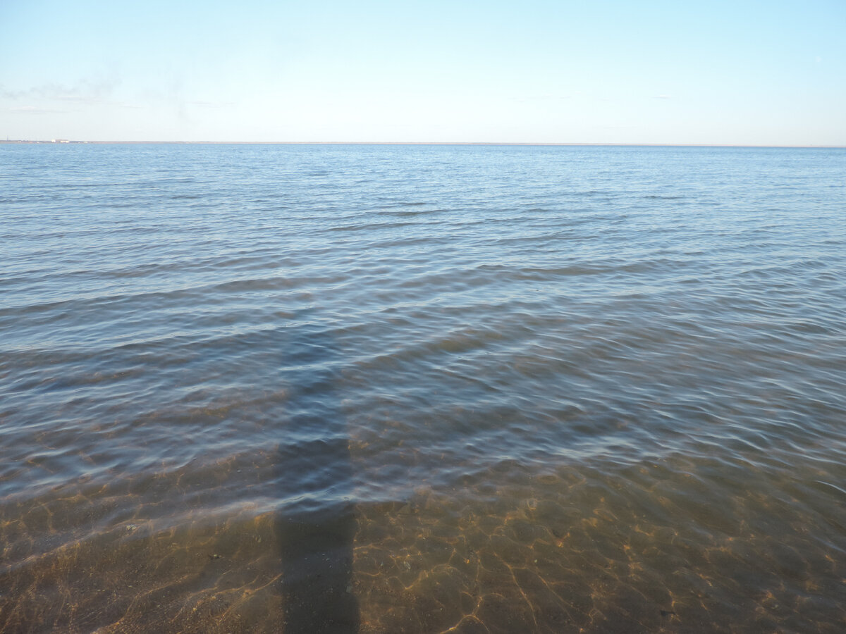 Моря алтайского края