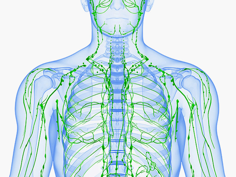 фото источник lady-page.ru