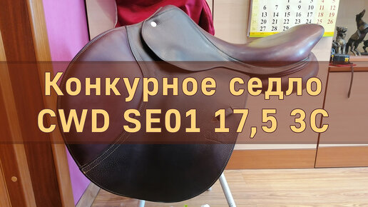 Конный спорт на Урале: подарок «Мисс России», олимпийские надежды и полицейская лошадь