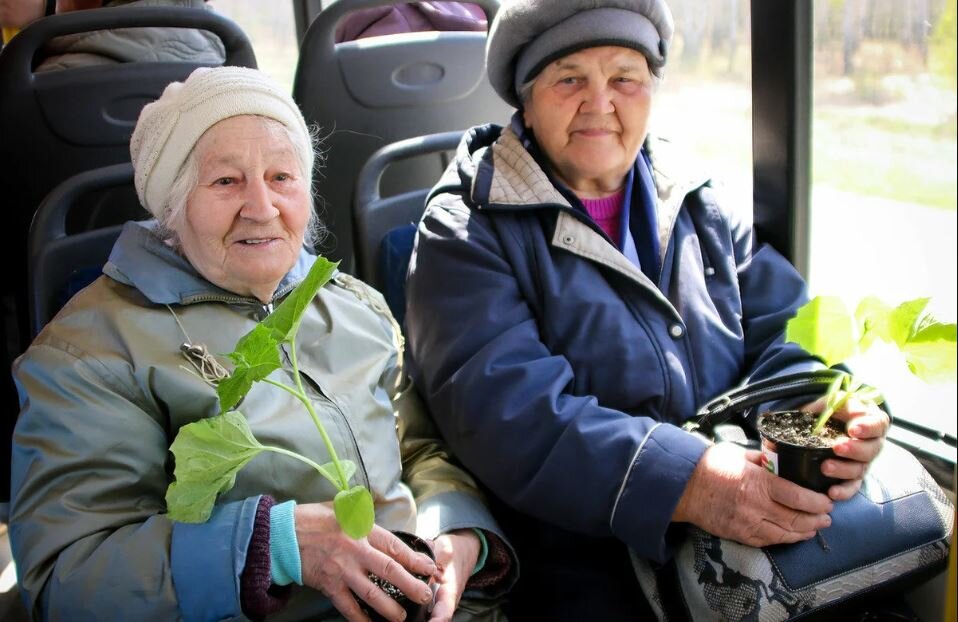 Спасибо страницам интернета за фотографию для иллюстрации поста.