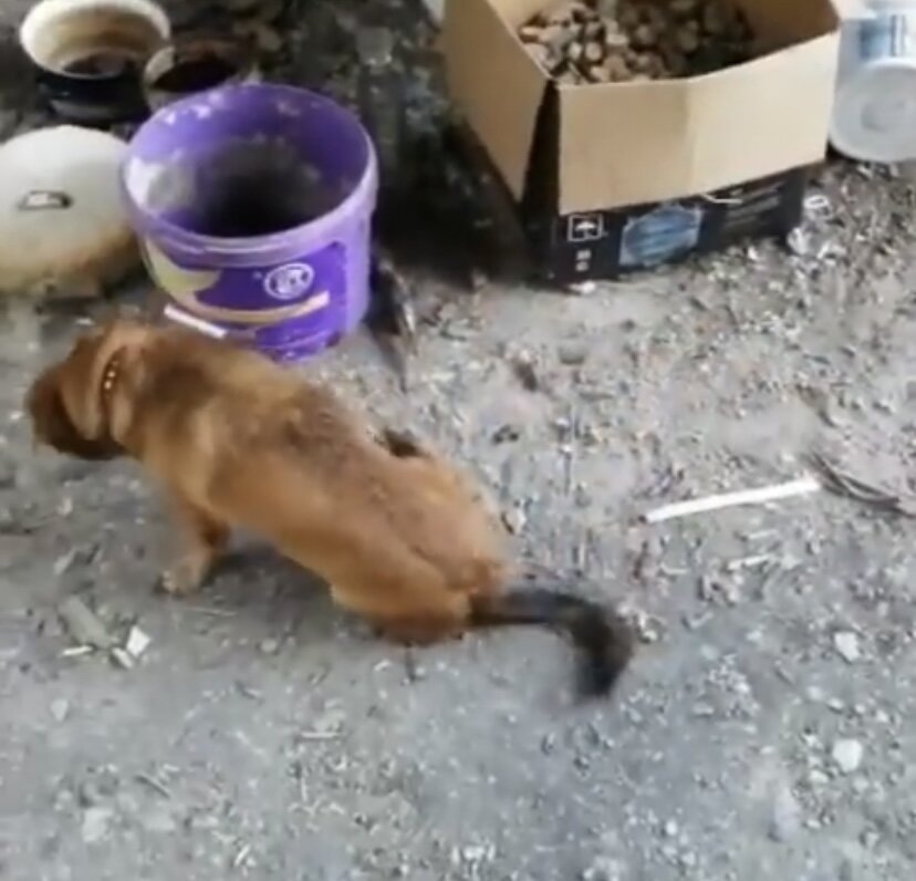 Варю уже нашли такой