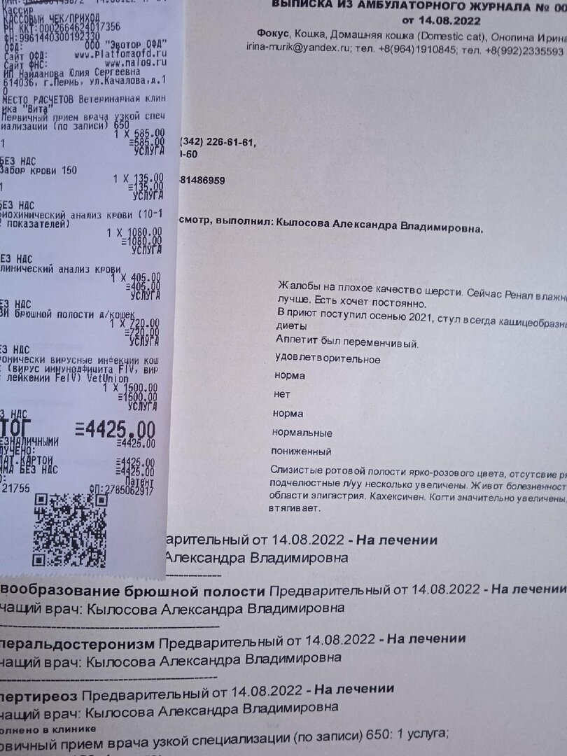 Фокус