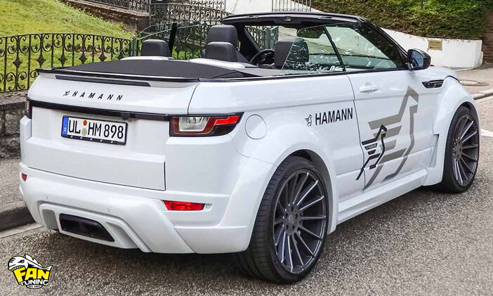 Р‘РѕРґРёРєРёС‚ Hamman Evoque