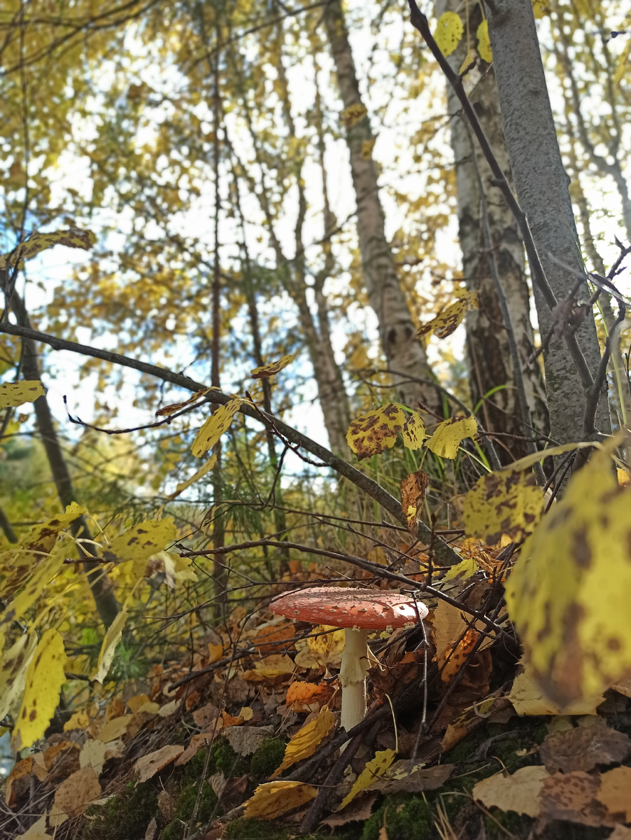 Фото из личного архива 