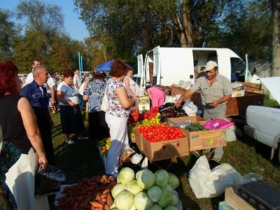 Погода в с жуковское песчанокопского района ростовской