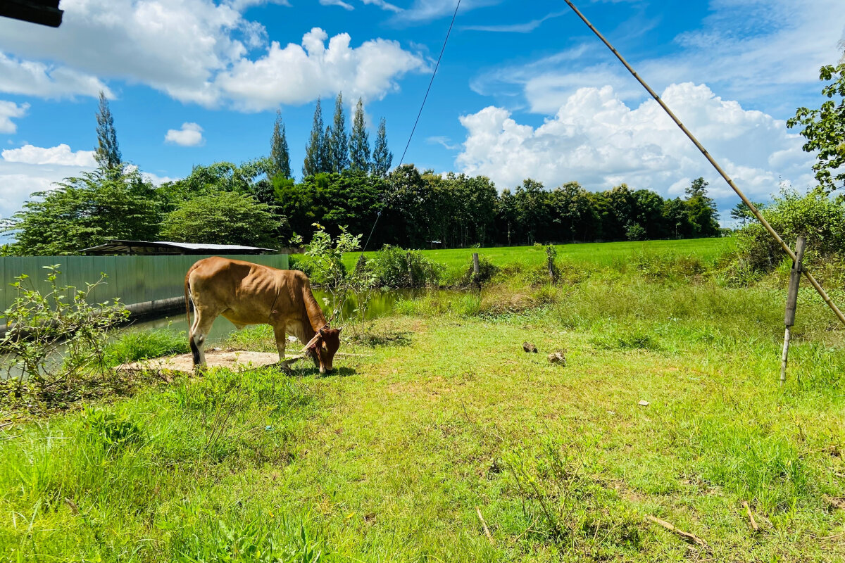    Налог на земли под сельское хозяйство – 350 рублей