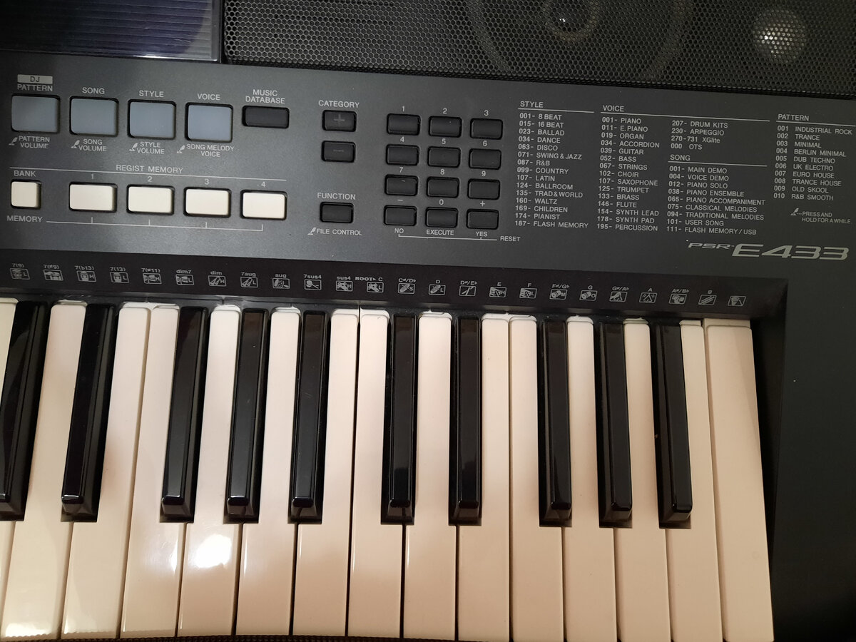 Плюсы и минусы YAMAHA PSR-E433 | Виолетта | Дзен