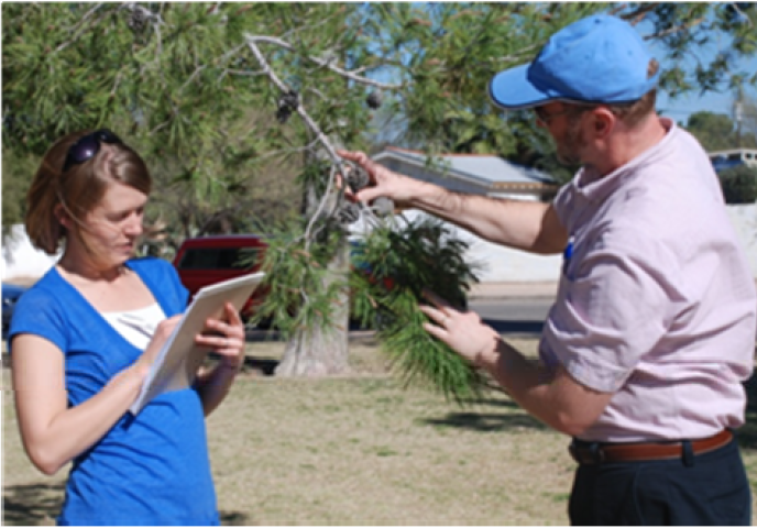 Наблюдения