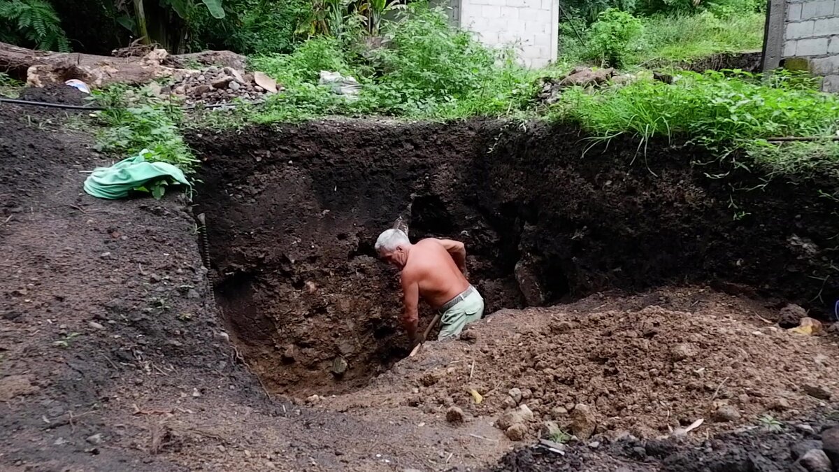 Жизнь в деревне | Хотел туалет, получил огород | Самые выгодные посадки |  Путники перехожие | Дзен