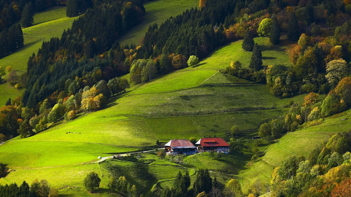 яндекс картинки