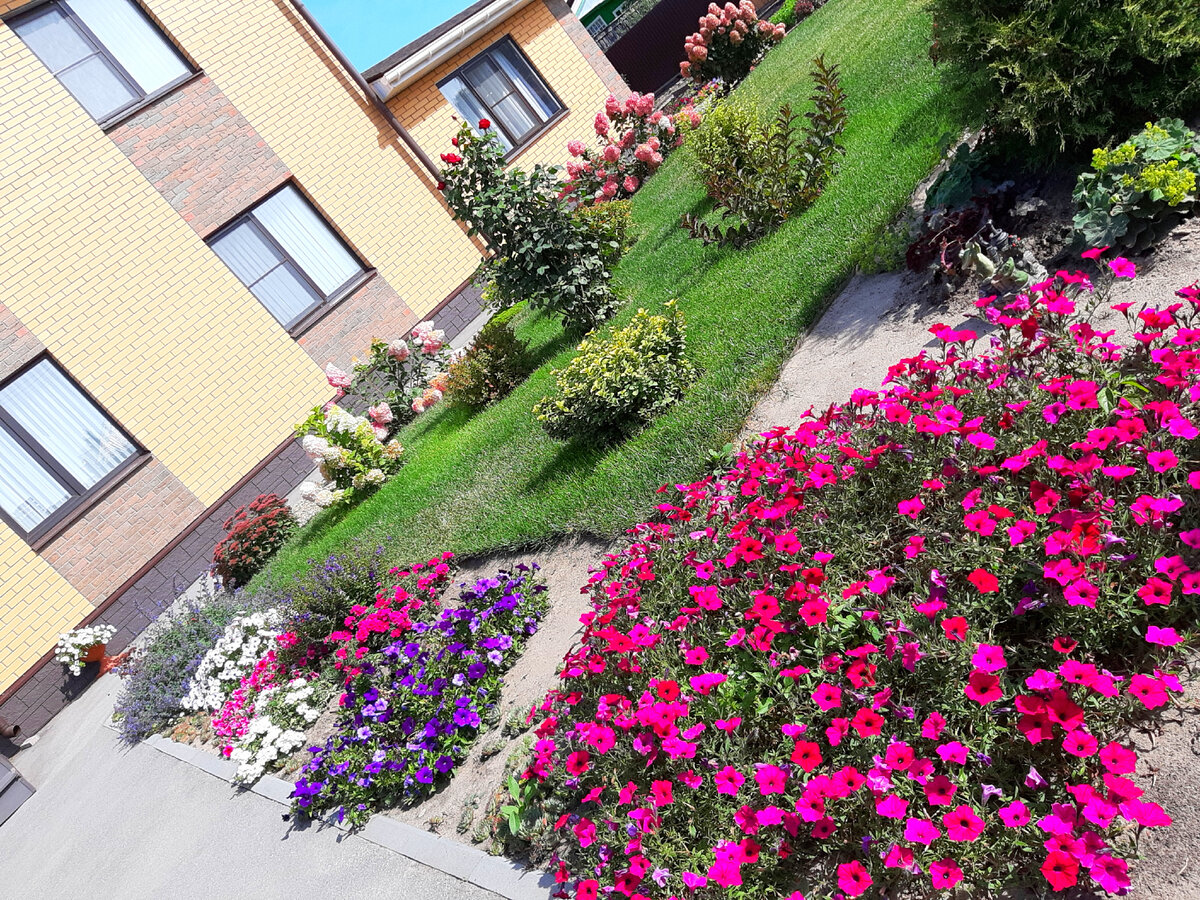 Кто пышно цветет до глубокой осени? | Цветущий мир | Дзен