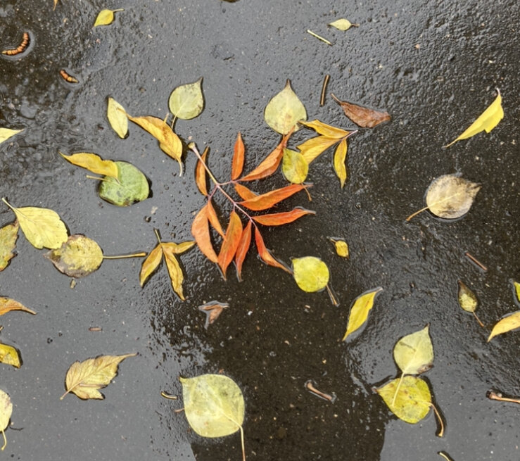 Грустно и красиво