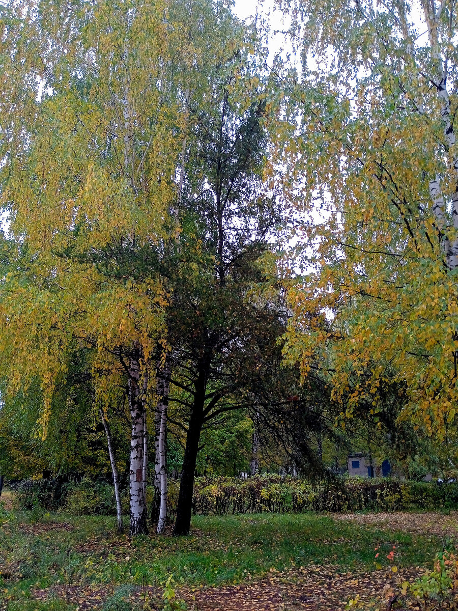 У нашей больницы. Фотография сделана мной. 