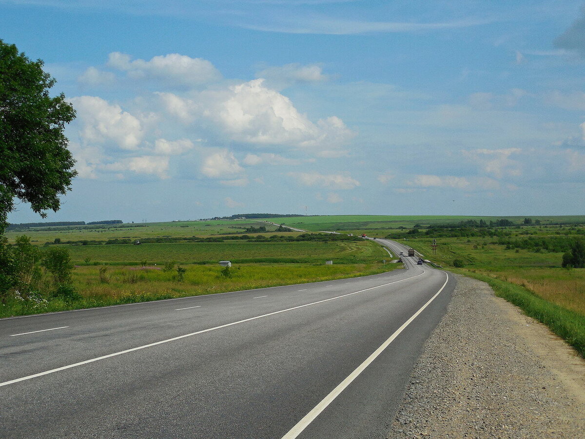 Поля до горизота