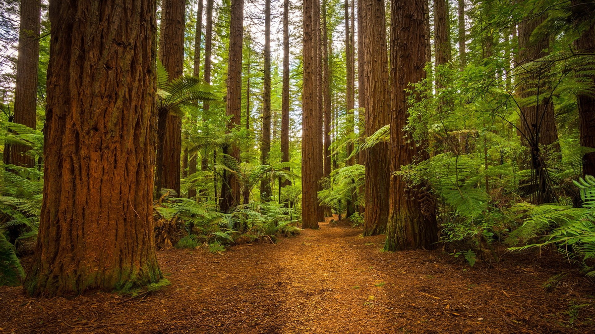 Фото из интернета. 