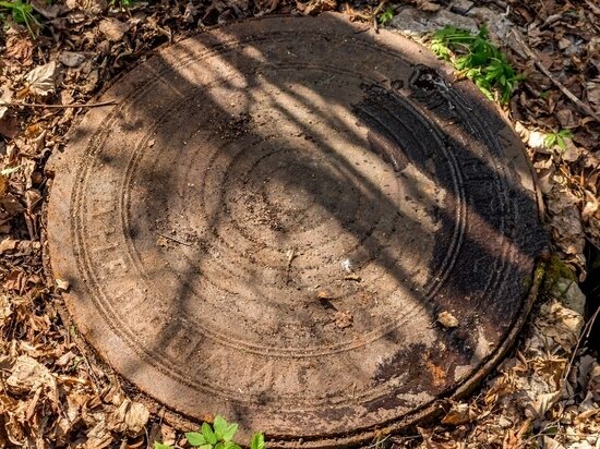     Фото: pxhere.com