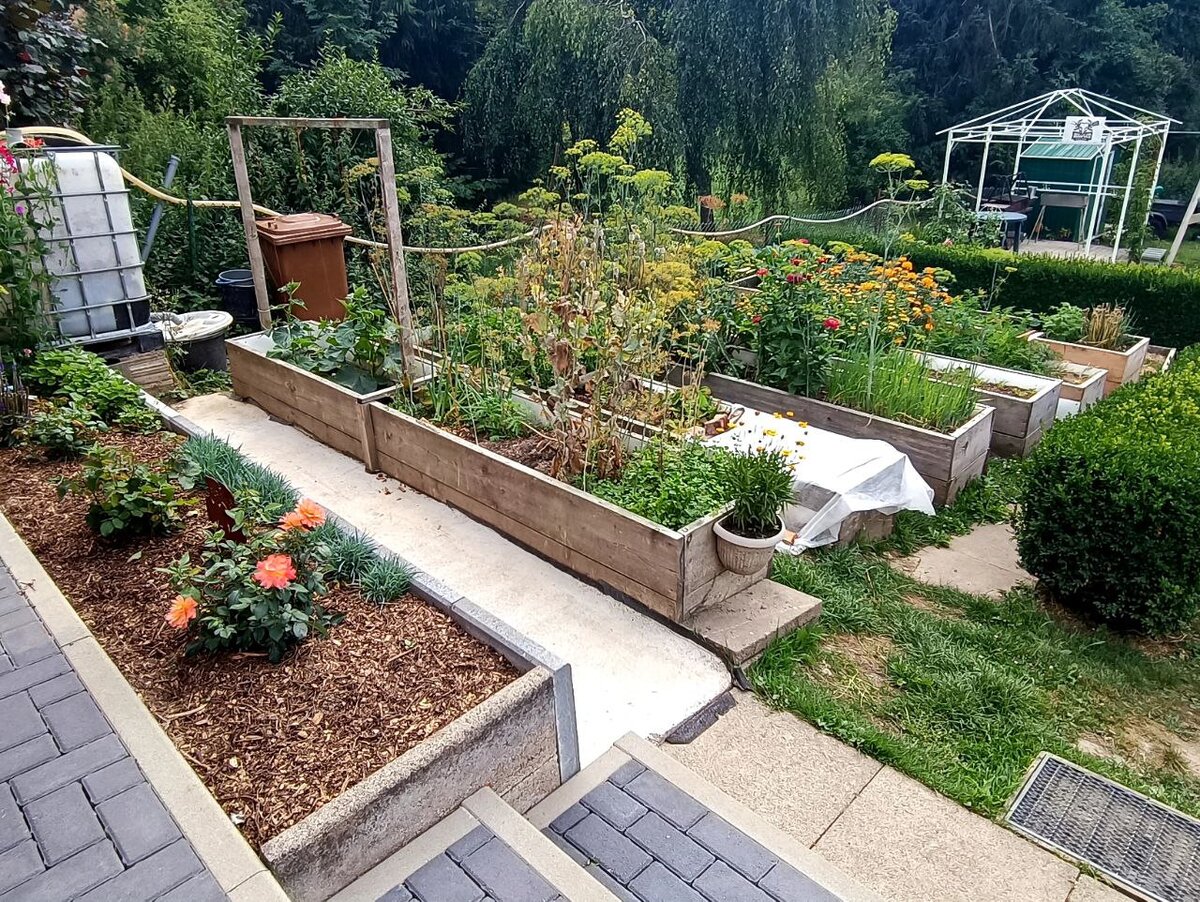 Прекрасный участок подписчицы Дачного агронома 