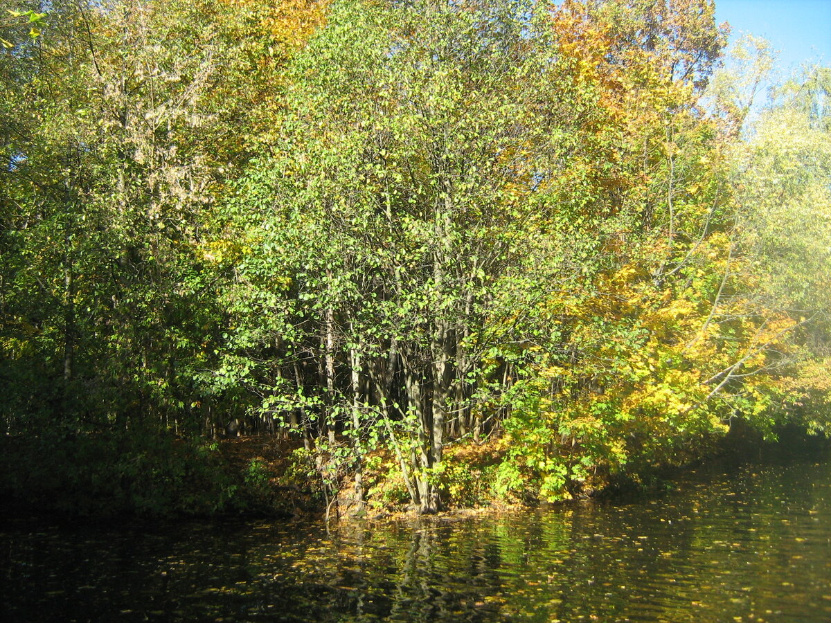 Свет всегда выхватывает из мрака нужный ему кусок. И тогда кажется, что всё заливает солнце