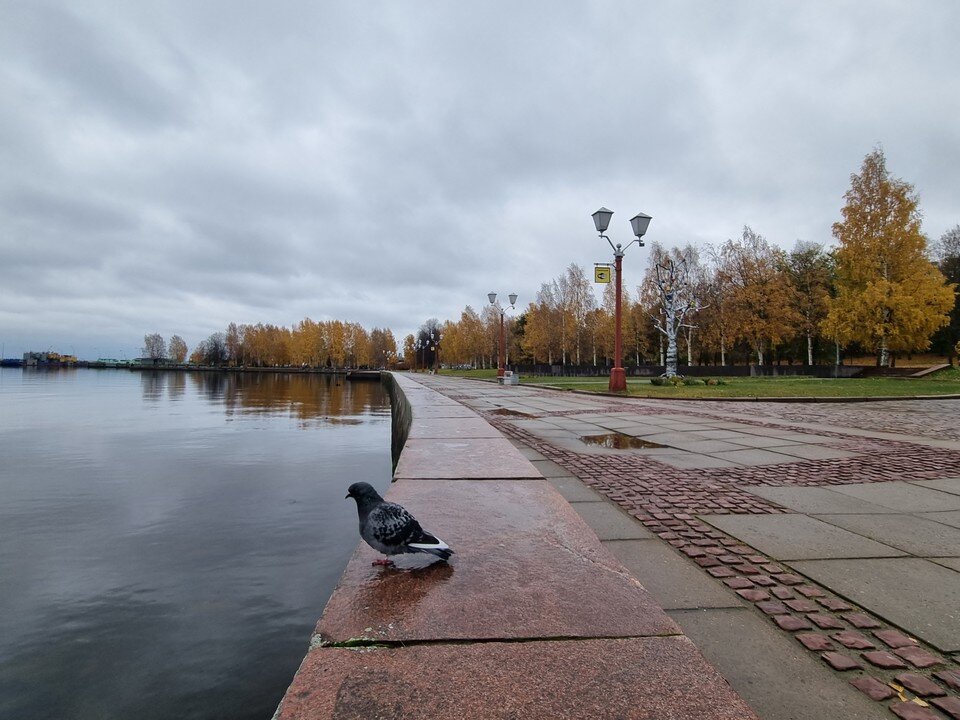     Онежская набережная в Петрозаводске Алиса ТИТКО