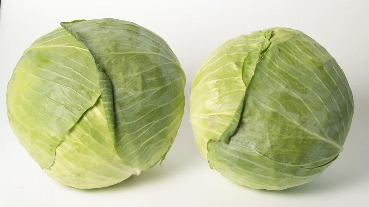 В какое время можно заняться заготовкой капусты на зиму? Фото: www.piqsels.com