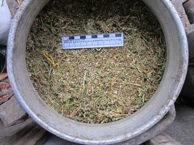    У ранее судимого жителя Кувандыкского округа изъято более восьми килограммов наркотиков Марина Шарт