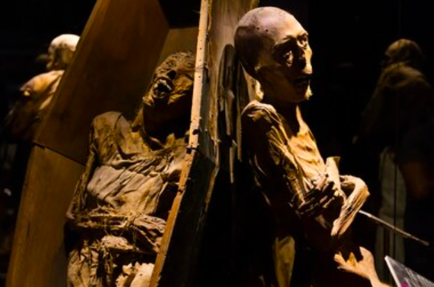 Фото: Крейг Ловелл