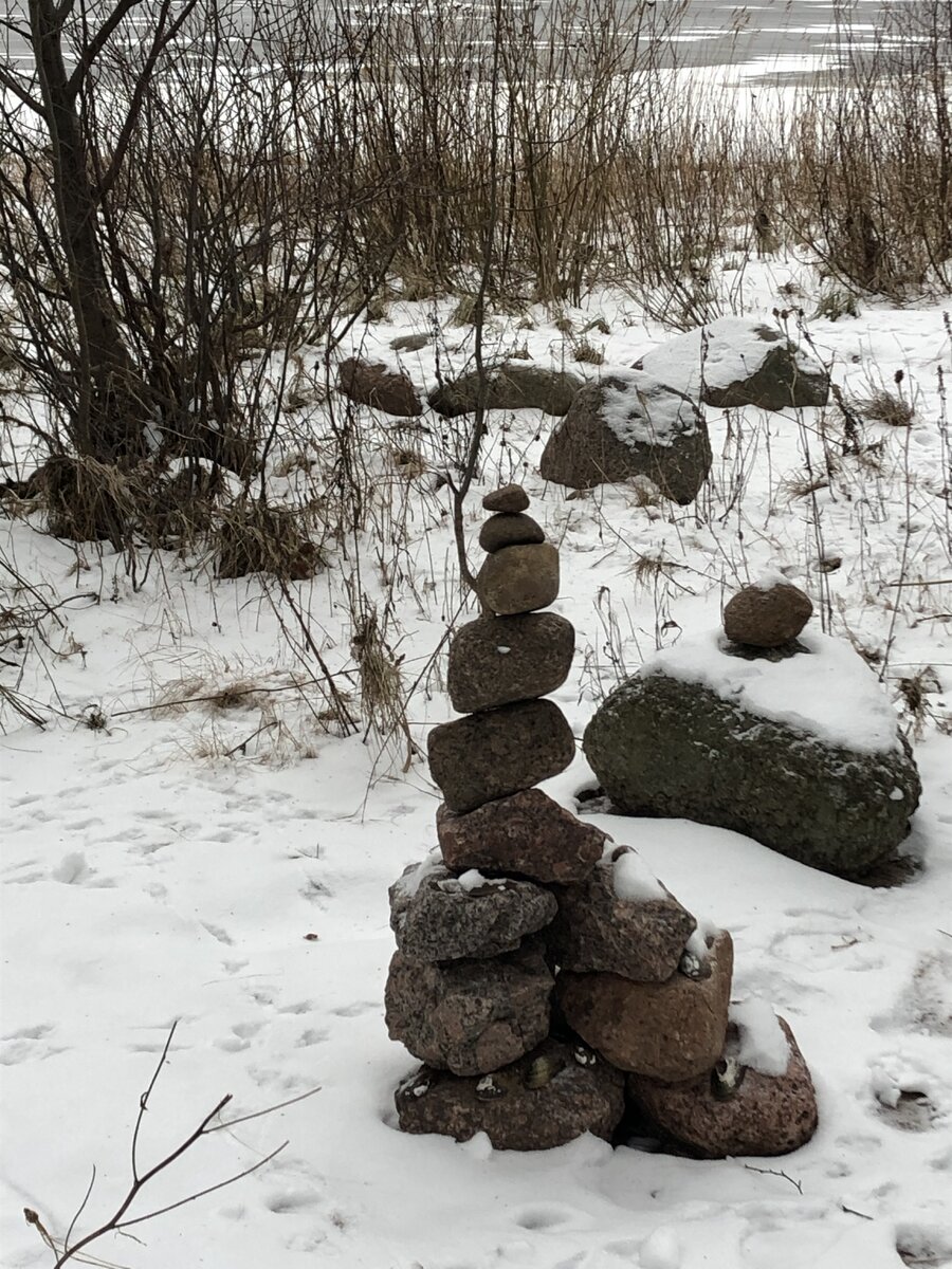 На побережье Финского залива. Сестрорецк. 04 декабря 2022 года. Фото автора.
