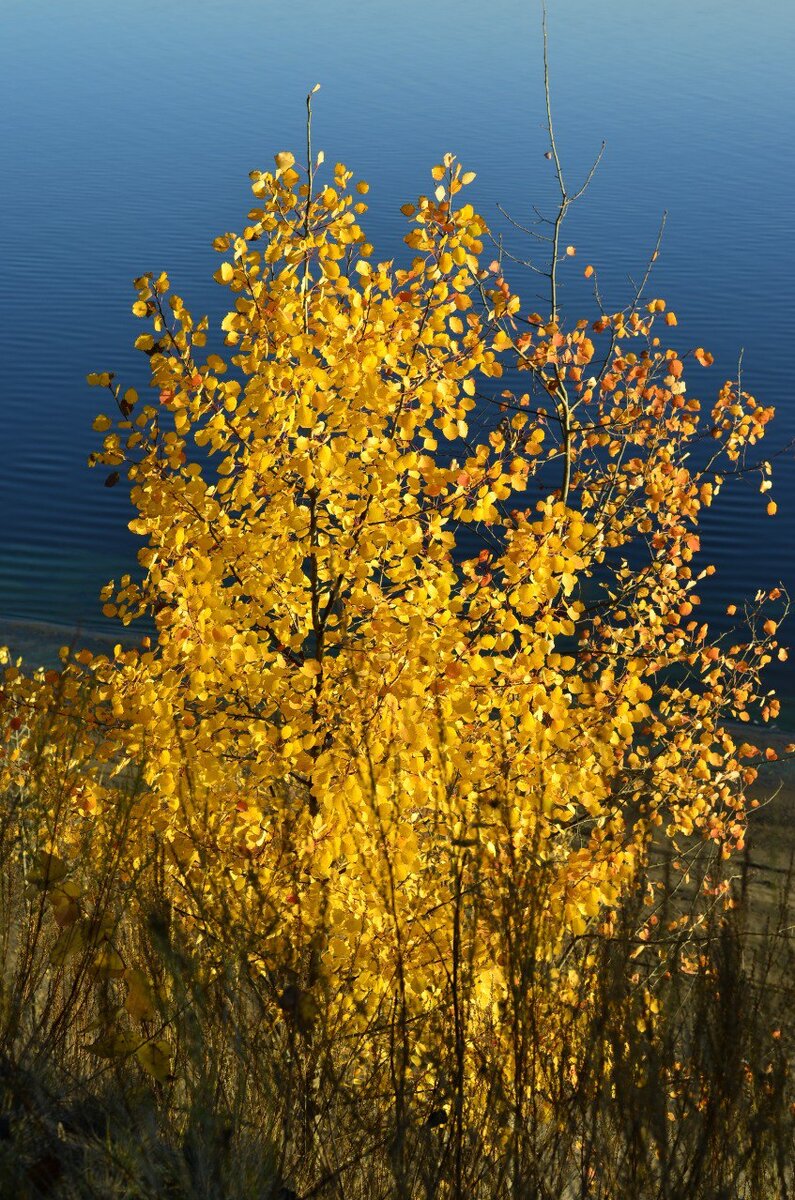 Фото из личного архива