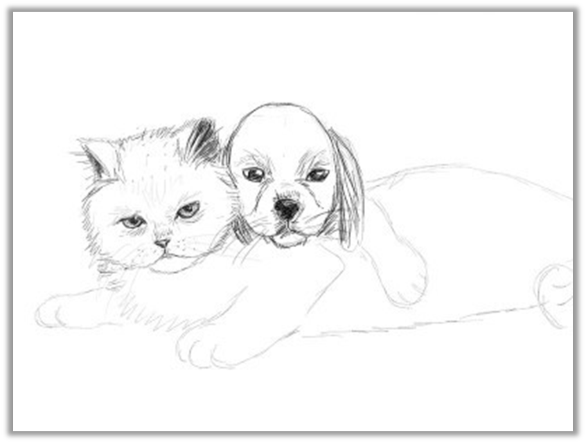 Кошка рисунок пошагово карандашом - 70 фото