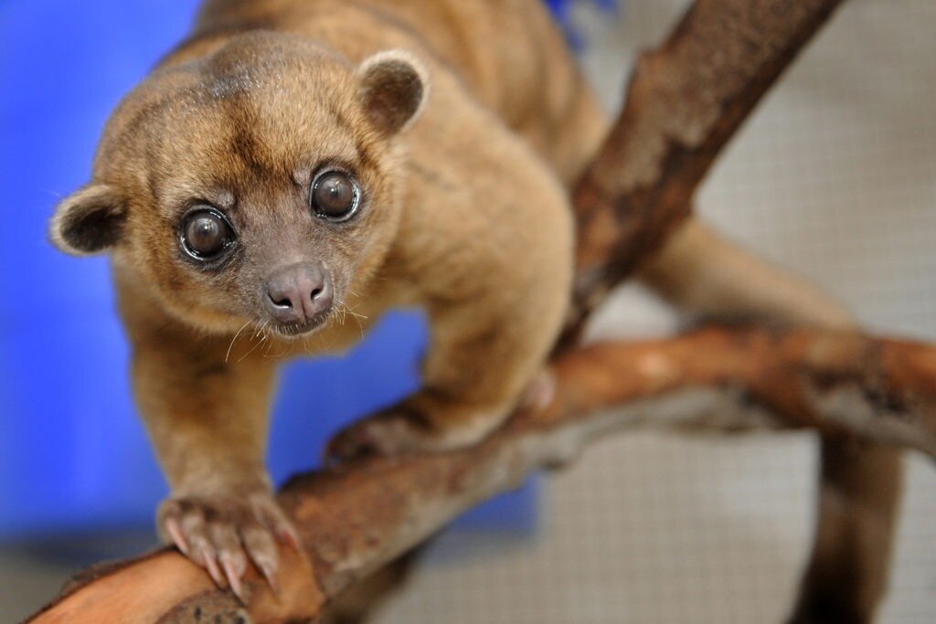 Источник: https://clck.ru/32YxsE