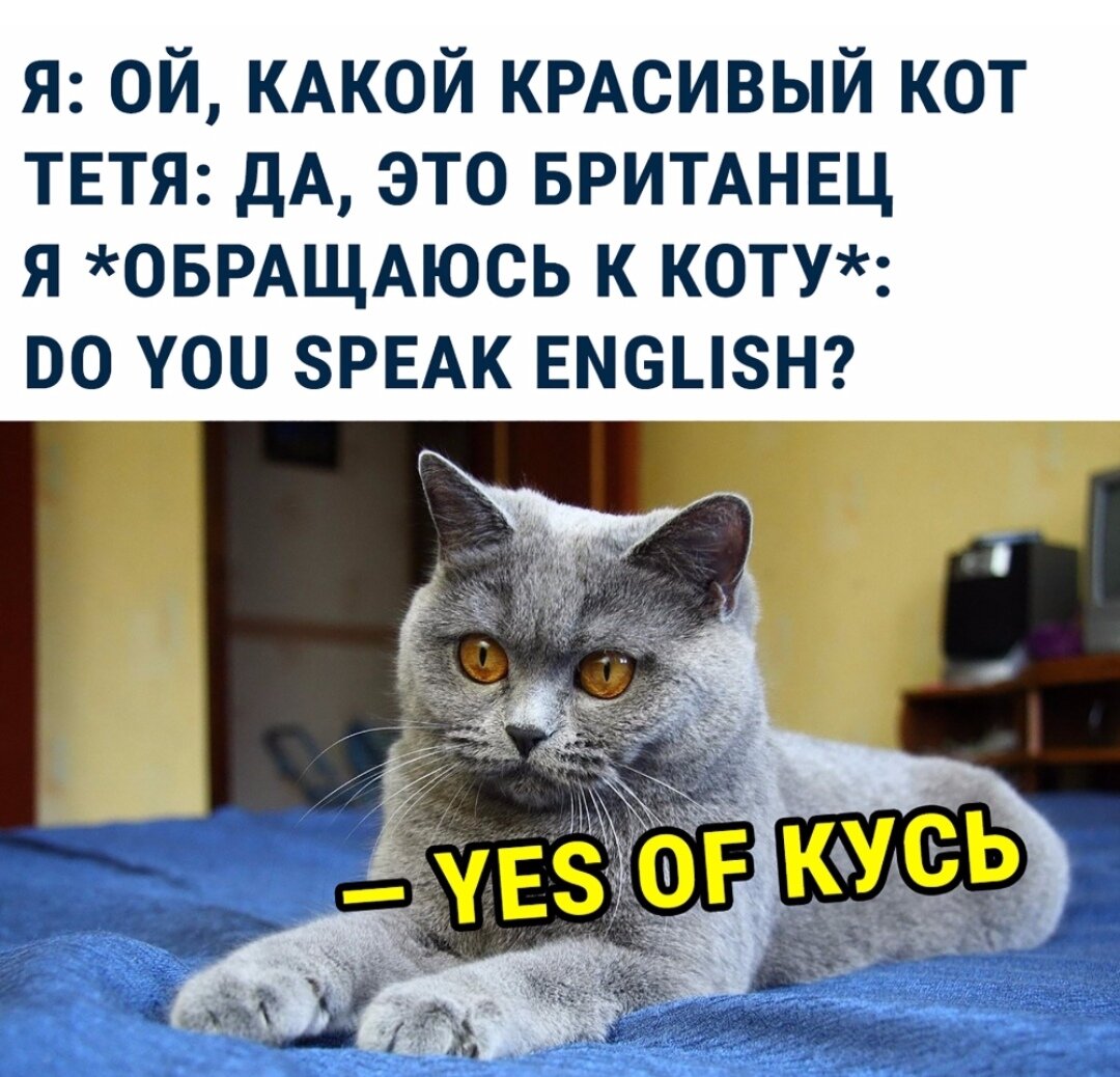 Посмеялся сам - поделись с другом!!!