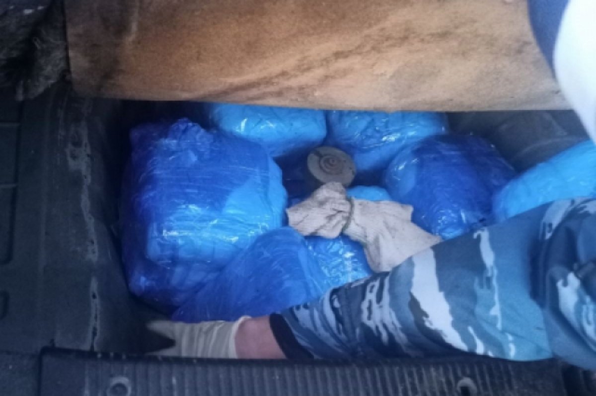    В Самарской области полиция за минувшие сутки изъяла более 7 кг наркотиков