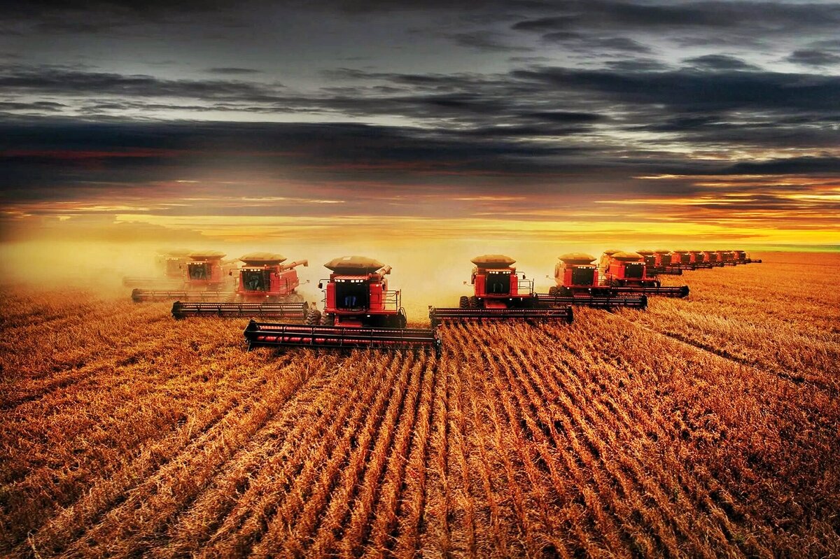 Много тракторов. Комбайн Case в поле. Комбайны Farm tractor. Сельхозтехника уборочная страда. Поле сельское хозяйство.