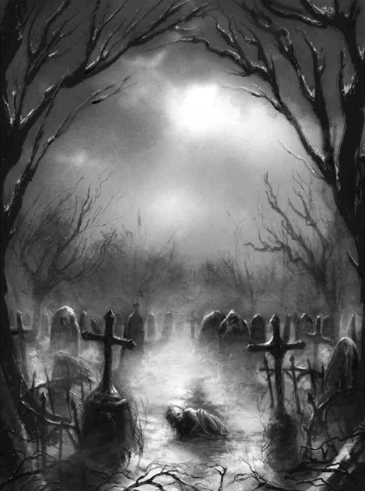 Фотография из интернета 