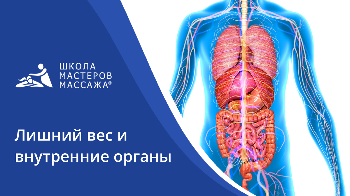 Лишний вес = неправильная работа организма | Школа мастеров массажа |  СПБ/МСК | Дзен