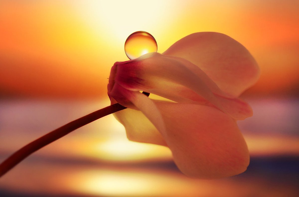 легкость в мыслях. солнце на ладони. сердце в ладонях. ощущение тепла в сердце. тепло в руках.