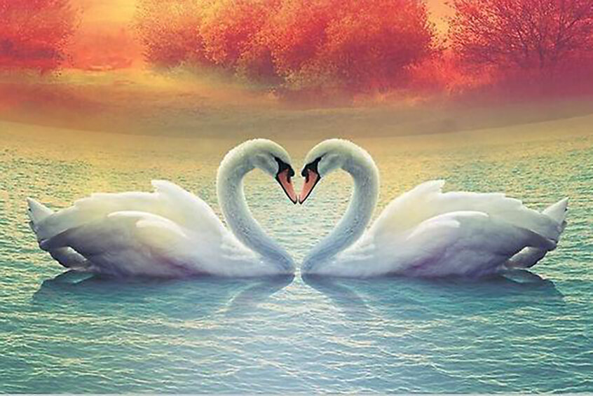 Из просторов интернета