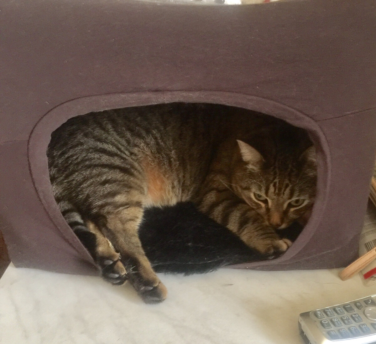 Домик для кота своими руками.